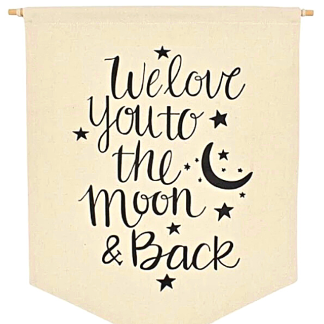 To The Moon And Back Wall Banner image 0