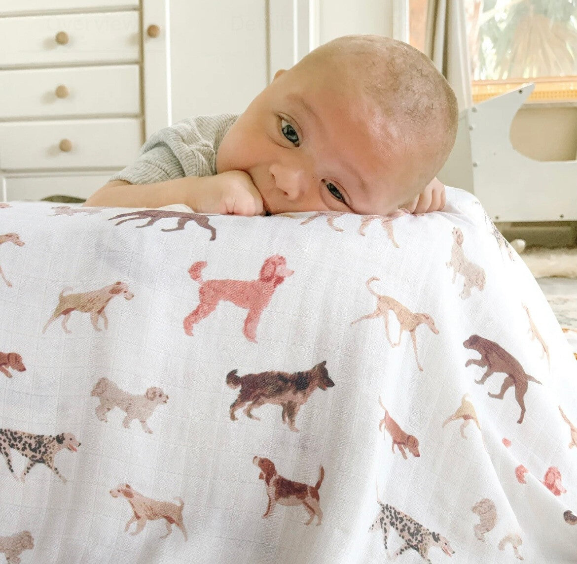 Puppy Swaddle image 7