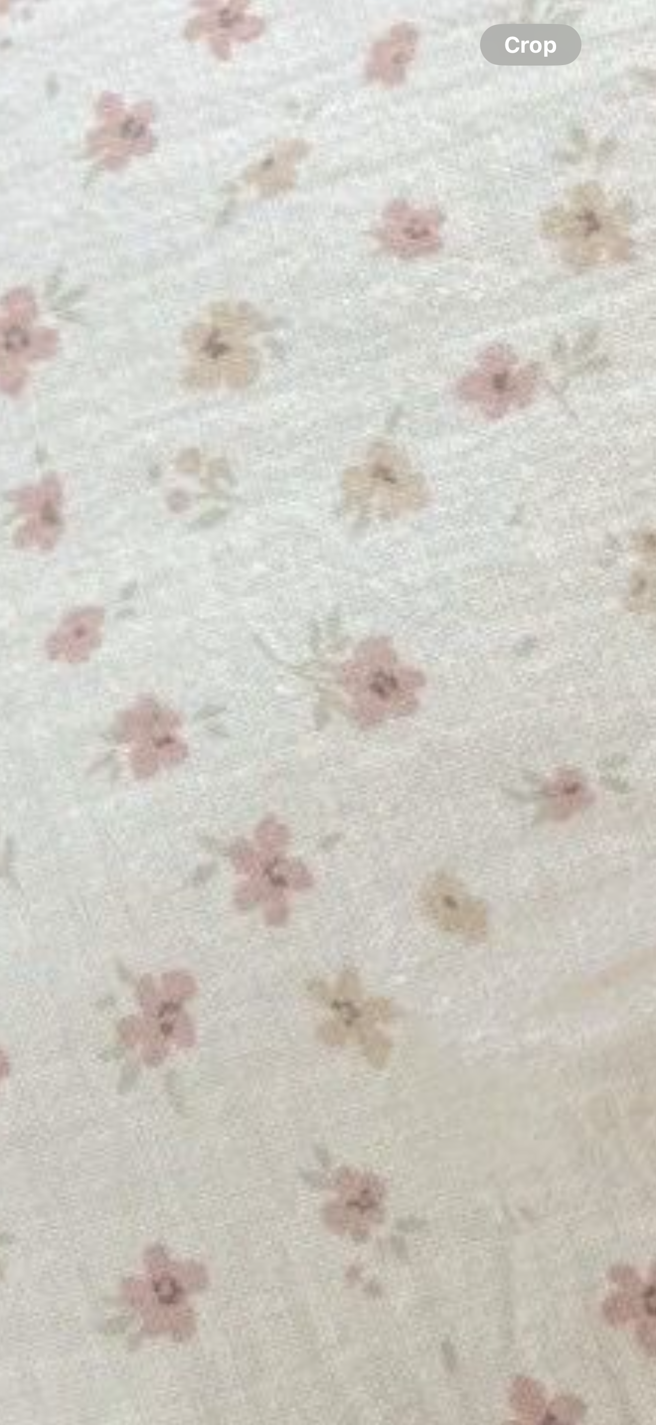 Little Daisy Cushion