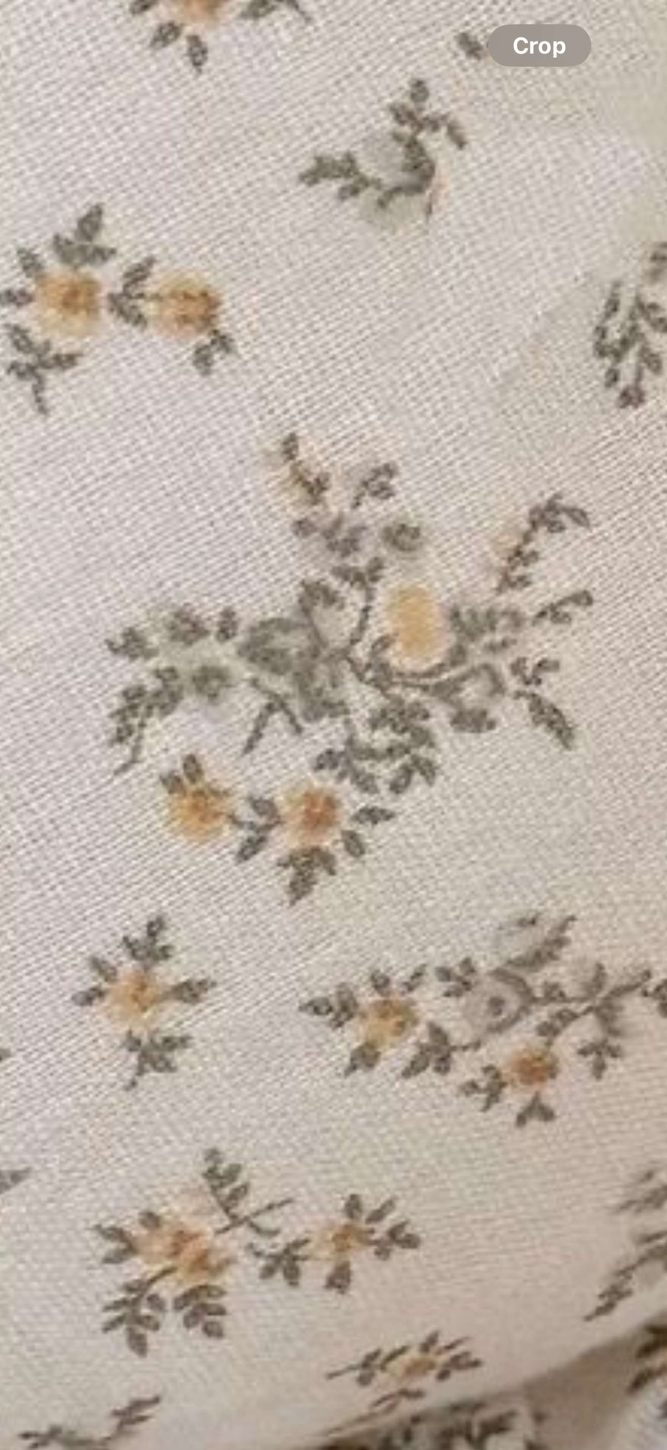 Evening Primrose Cushion